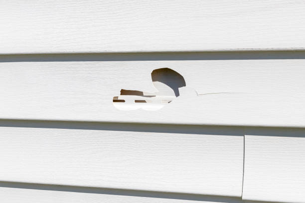 Affordable Siding Repair and Maintenance Services in Macopin, NJ